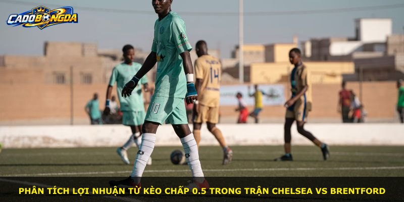 Phân tích lợi nhuận từ kèo chấp 0.5 trong trận Chelsea vs Brentford
