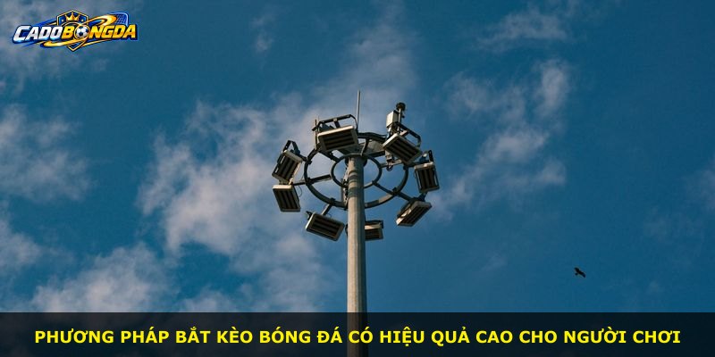 Phương pháp bắt kèo bóng đá có hiệu quả cao cho người chơi