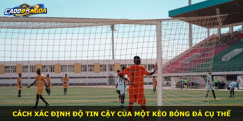 Cách xác định độ tin cậy của một kèo bóng đá cụ thể