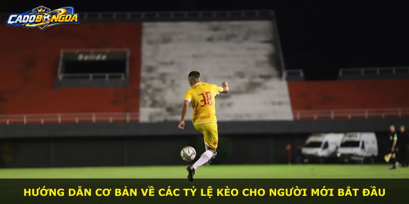 Hướng dẫn cơ bản về các tỷ lệ kèo cho người mới bắt đầu