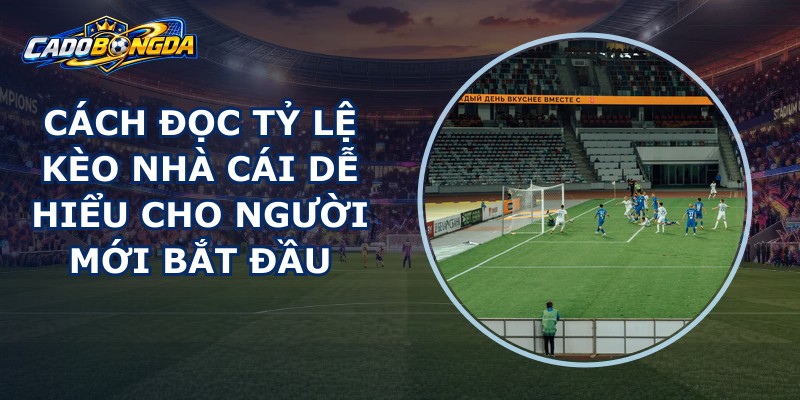 Cách Đọc Tỷ Lệ Kèo Nhà Cái