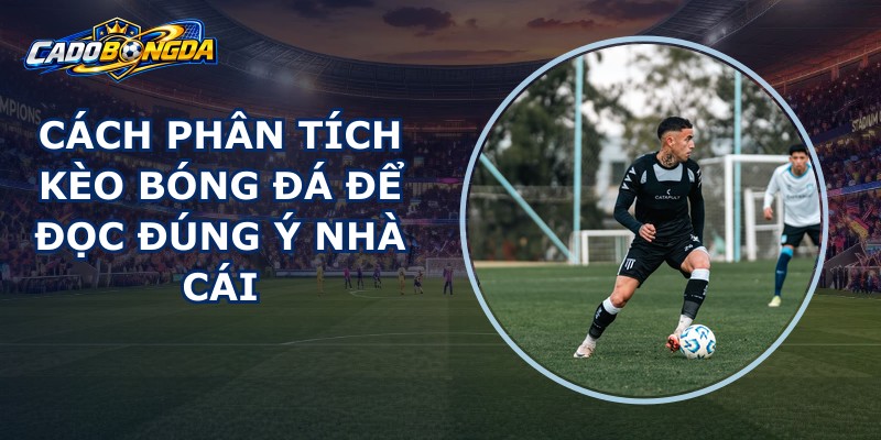 Cách Phân Tích Kèo Bóng Đá