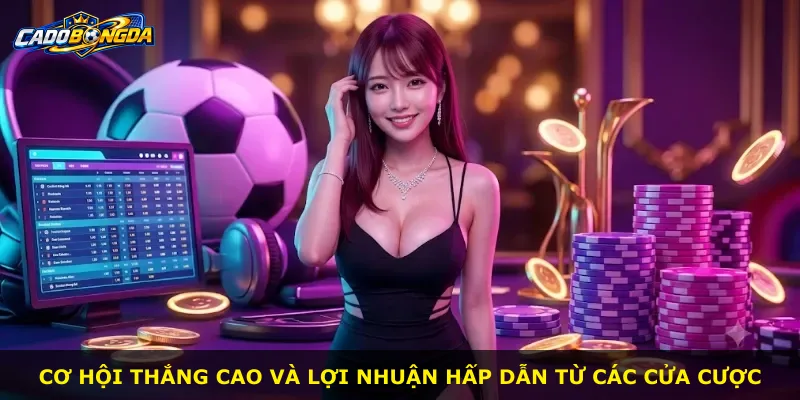 Cơ hội thắng cao và lợi nhuận hấp dẫn từ các cửa cược