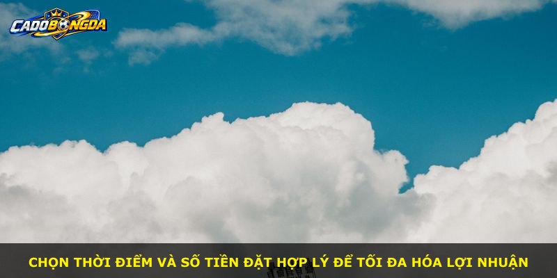 Chọn thời điểm và số tiền đặt hợp lý để tối đa hóa lợi nhuận