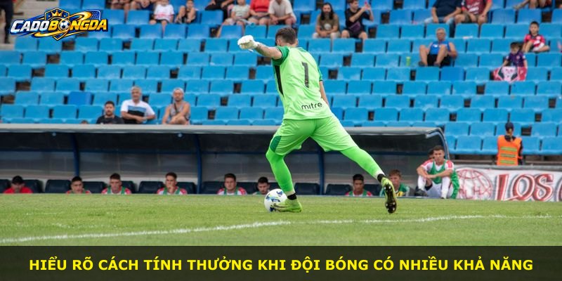 Hiểu rõ cách tính thưởng khi đội bóng có nhiều khả năng