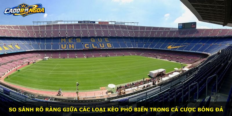 So sánh rõ ràng giữa các loại kèo phổ biến trong cá cược bóng đá