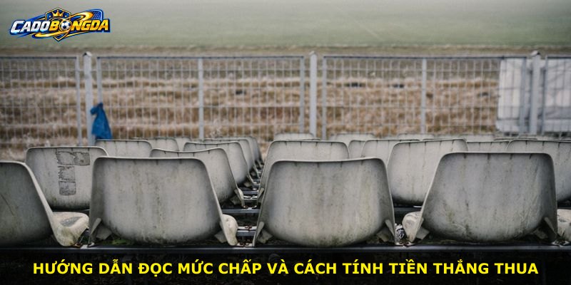 Hướng dẫn đọc mức chấp và cách tính tiền thắng thua