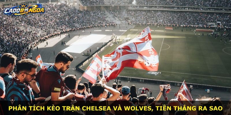 Phân tích kèo trận Chelsea và Wolves, tiền thắng ra sao