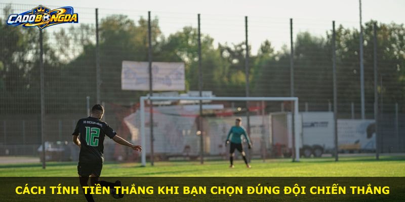 Cách tính tiền thắng khi bạn chọn đúng đội chiến thắng