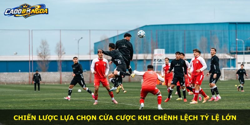 Chiến lược lựa chọn cửa cược khi chênh lệch tỷ lệ lớn