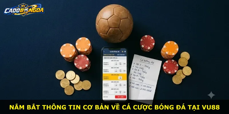 Nắm bắt thông tin cơ bản về cá cược bóng đá tại Vu88