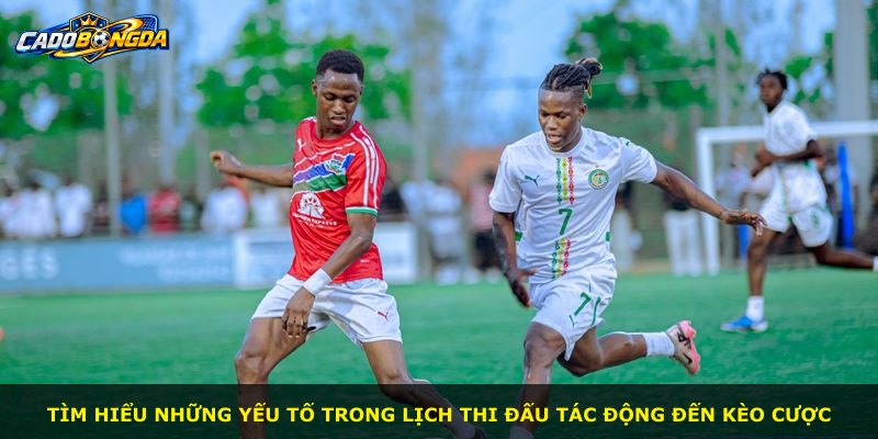 Tìm hiểu những yếu tố trong lịch thi đấu tác động đến kèo cược