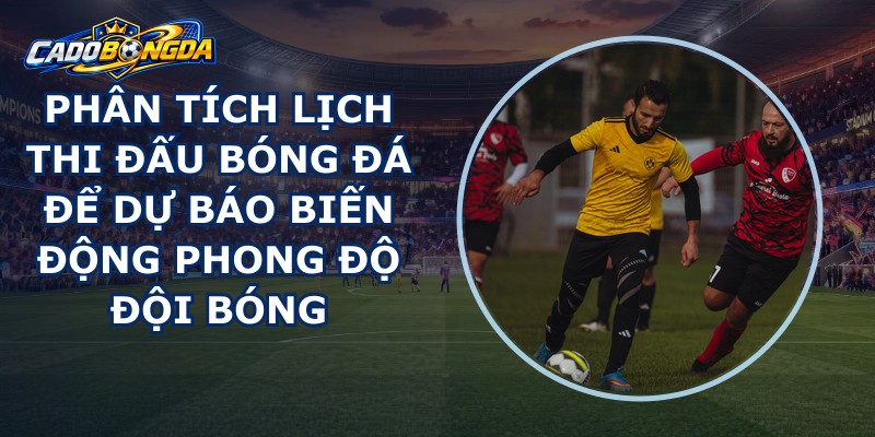 Phân Tích Lịch Thi Đấu Bóng Đá