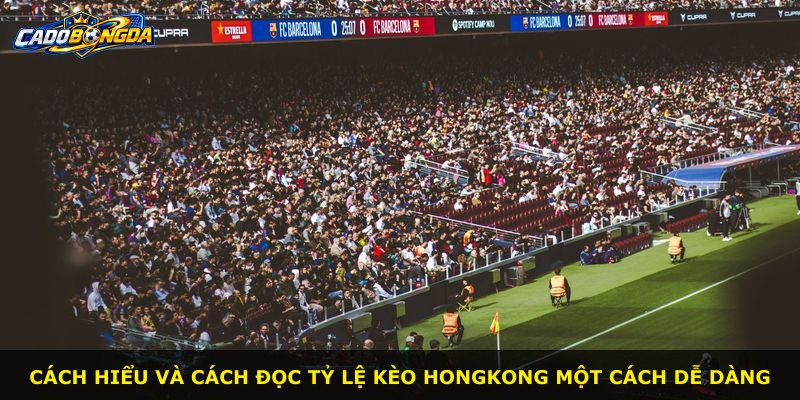 Cách hiểu và cách đọc tỷ lệ kèo Hongkong một cách dễ dàng