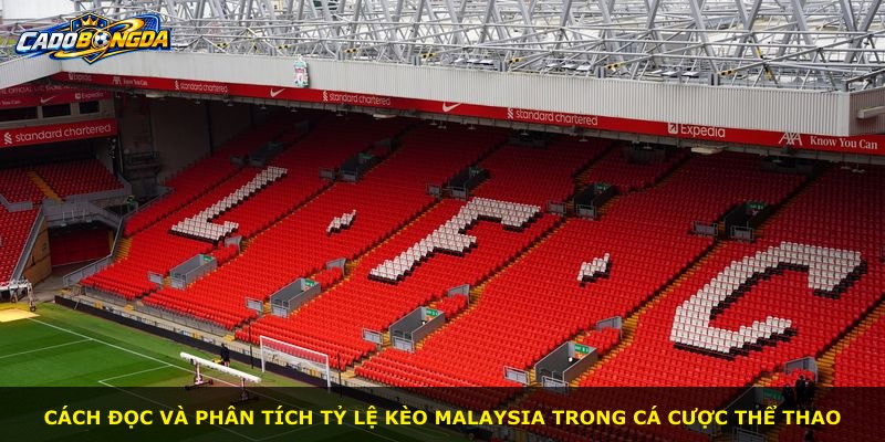 Cách đọc và phân tích tỷ lệ kèo Malaysia trong cá cược thể thao
